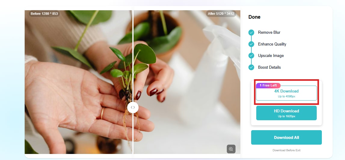 4K image download option in the PhotoGrid tool